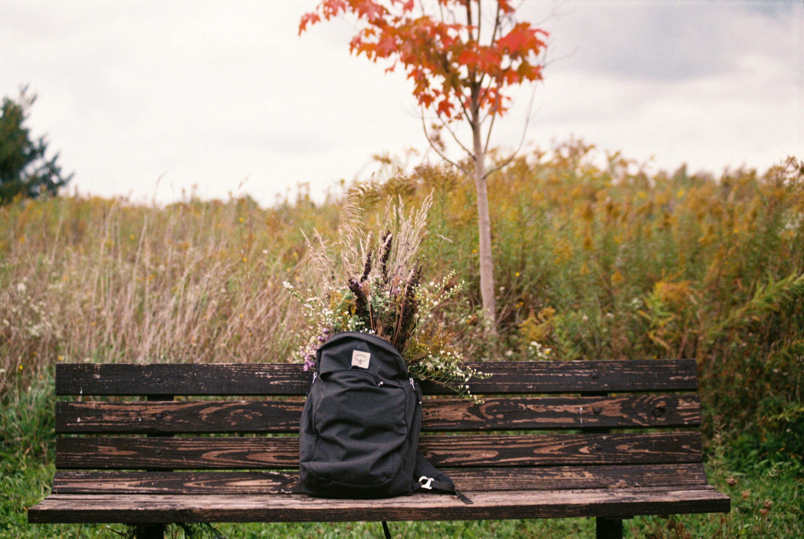 hudson-graves-eUHmmTQLNtk-unsplash hudson-graves-eUHmmTQLNtk-unsplash