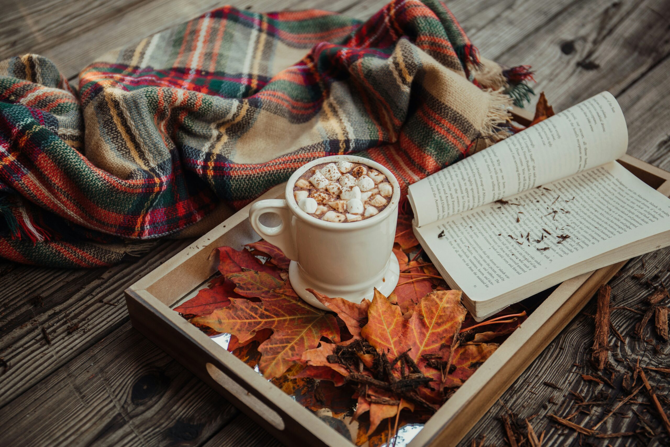 alisa-anton-JhxGkGgd3Sw-unsplash alisa-anton-JhxGkGgd3Sw-unsplash